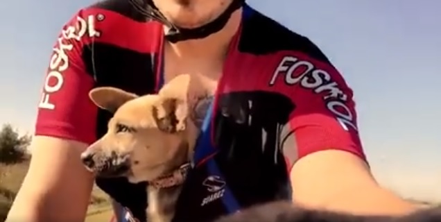 Bike rider rescues deserted puppy