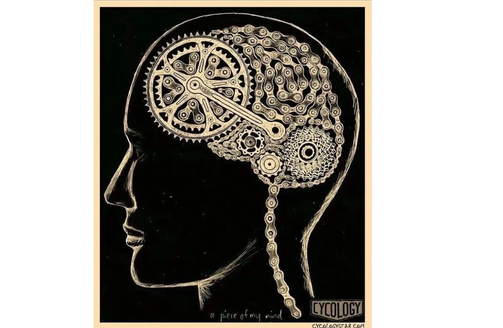 cycling and brain function