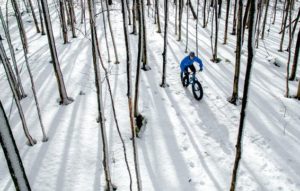 Why You Need to Try Fat Biking