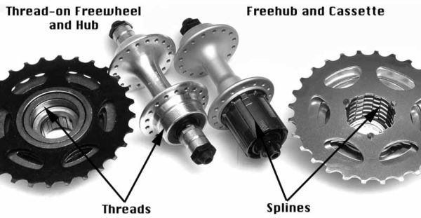 freewheel and cassette